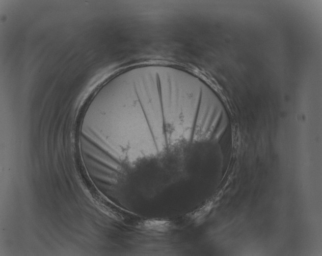 X0000067890055200604271837