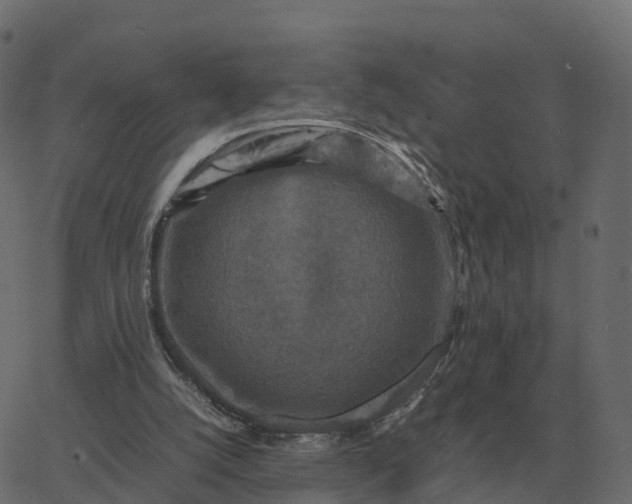 X0000067890056200604271837