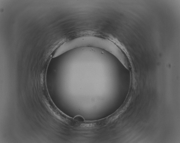 X0000067890057200604271837