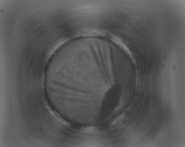 X0000067890058200604271837