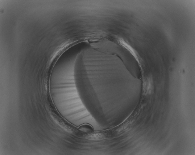 X0000067890059200604271837