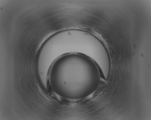 X0000067890060200604271837