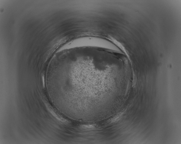 X0000067890061200604271837