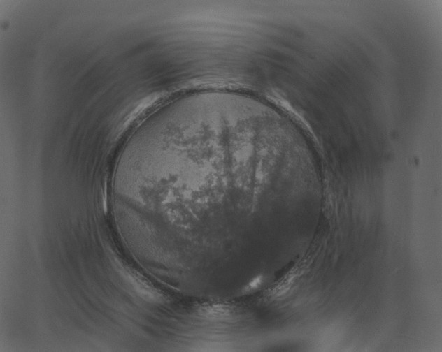 X0000067890062200604271837