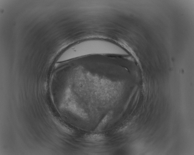 X0000067890063200604271837