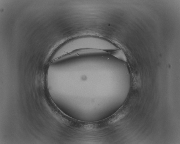 X0000067890064200604271837