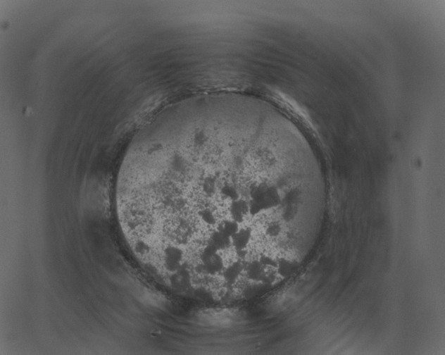 X0000067890065200604271837