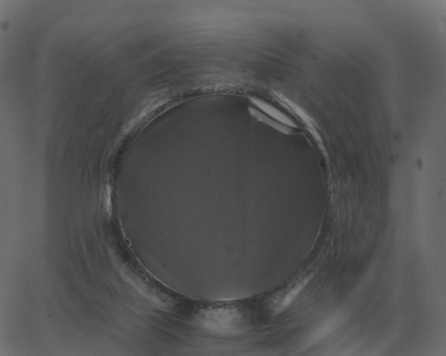 X0000067890067200604271837