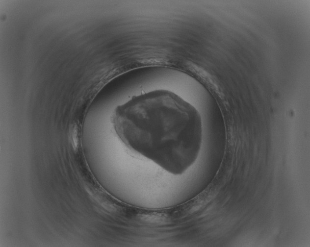 X0000067890069200604271837