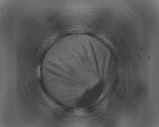 X0000067890070200604271837