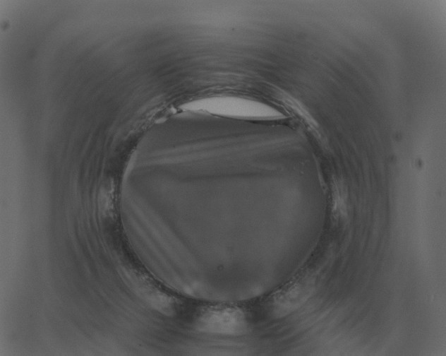 X0000067890073200604271837