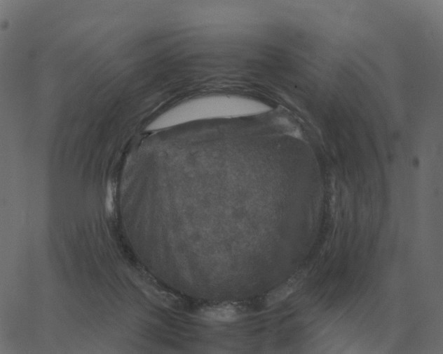 X0000067890075200604271837