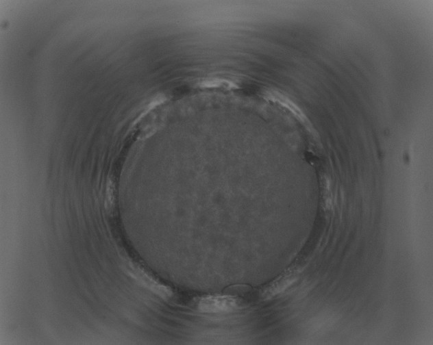 X0000067890077200604271837