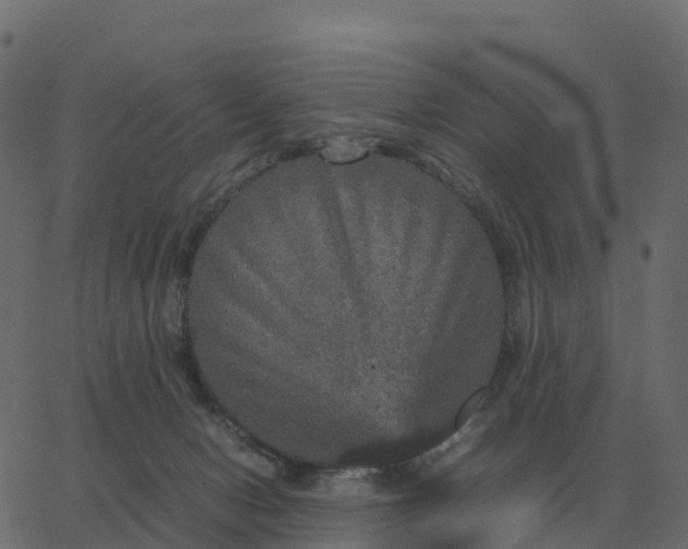 X0000067890078200604271837