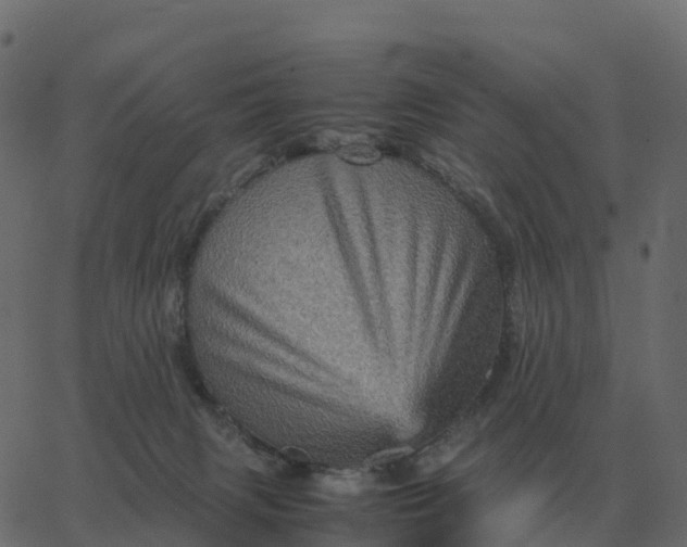 X0000067890079200604271837