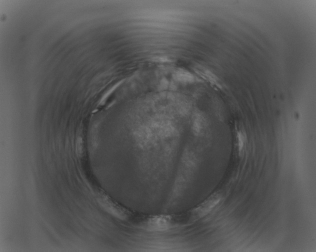 X0000067890080200604271837