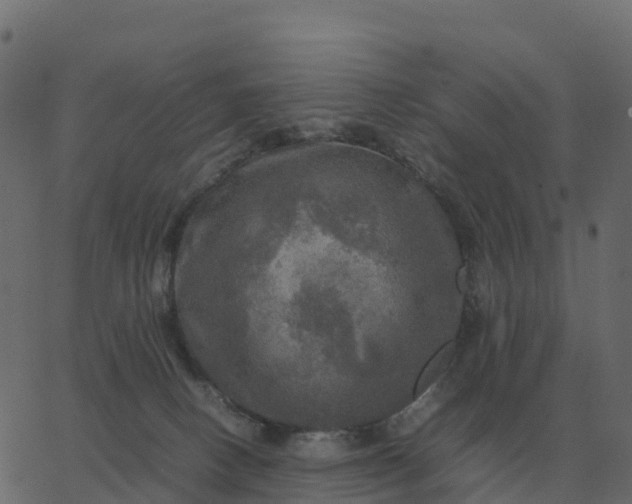 X0000067890082200604271837