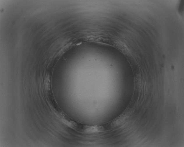 X0000067890083200604271837