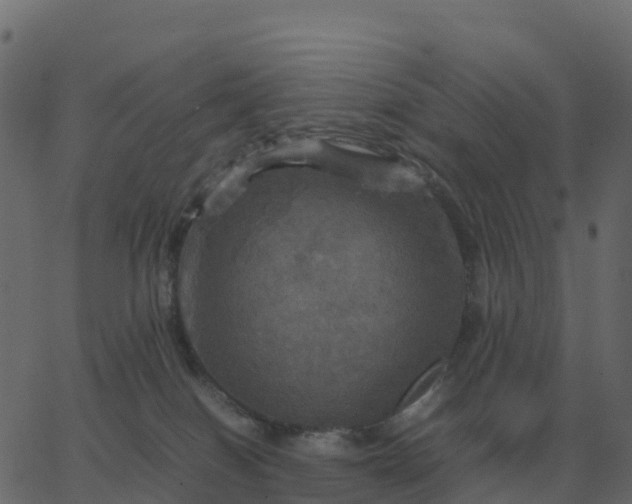 X0000067890086200604271837