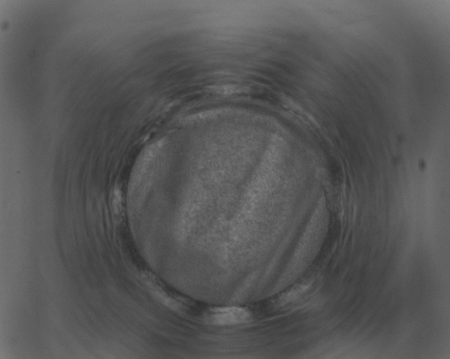 X0000067890087200604271837