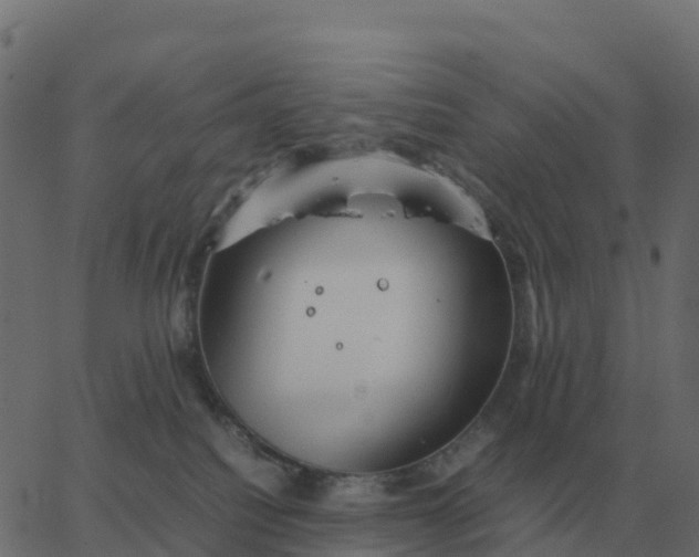 X0000067890088200604271837