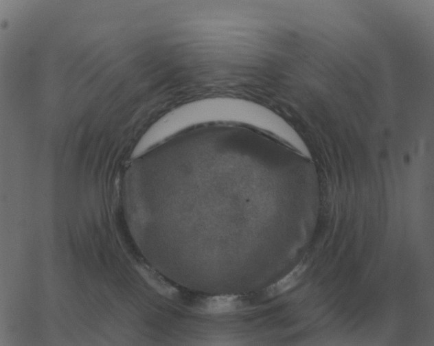 X0000067890090200604271837