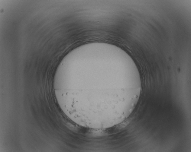 X0000067890093200604271837