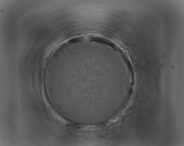 X0000067890097200604271837