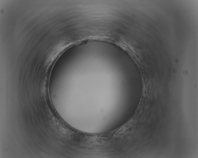 X0000067890098200604271837