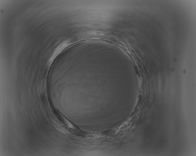 X0000067890099200604271837