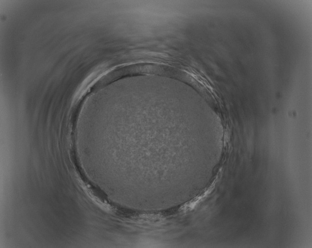 X0000067890101200604271837