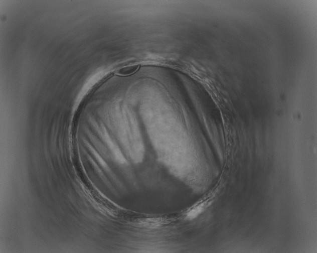 X0000067890102200604271837