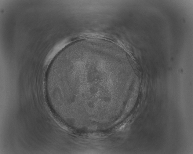 X0000067890103200604271837