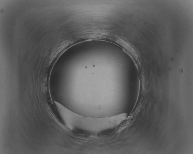 X0000067890105200604271837