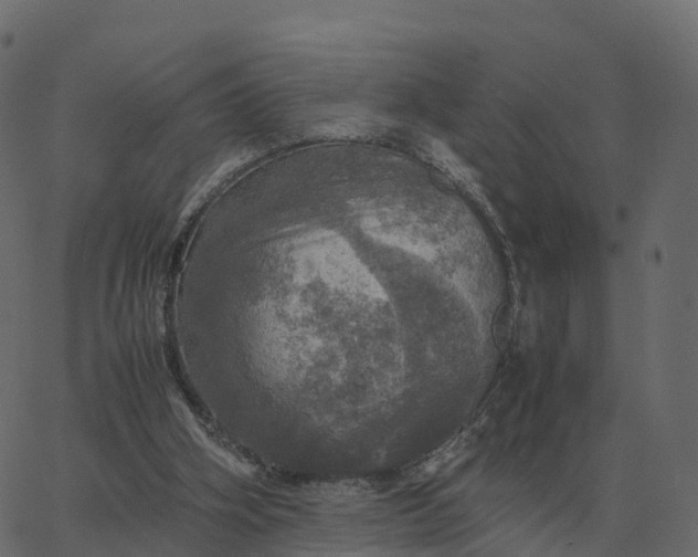 X0000067890106200604271836