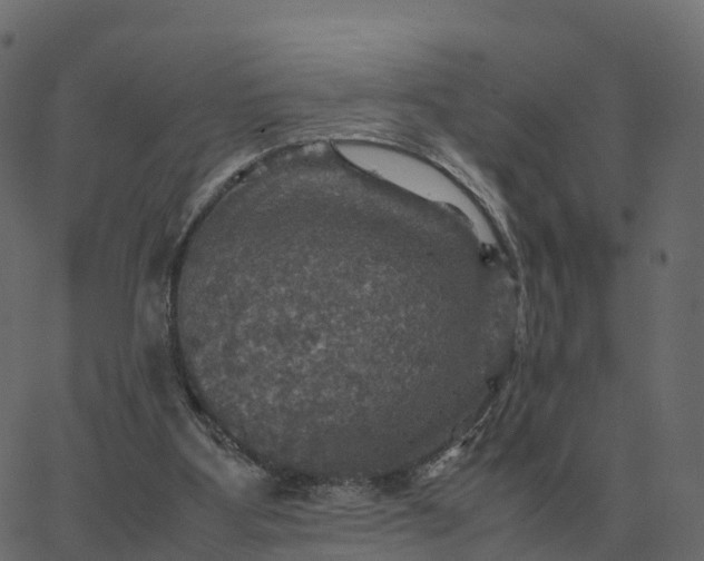 X0000067890107200604271836