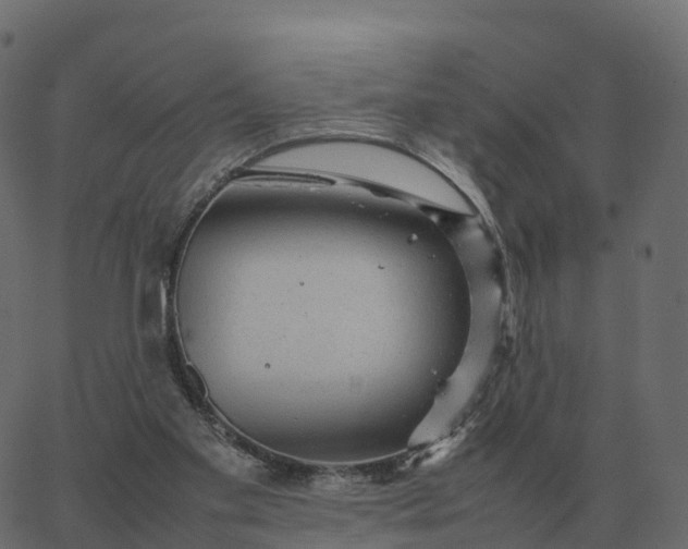 X0000067890109200604271836