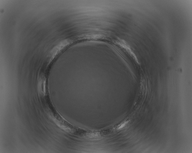 X0000067890110200604271836