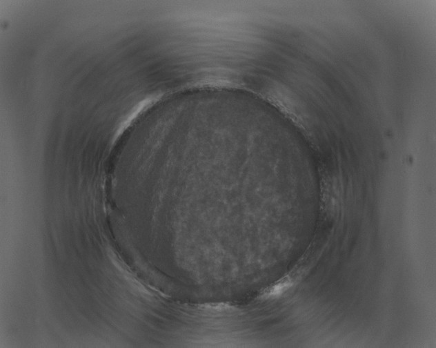 X0000067890112200604271836