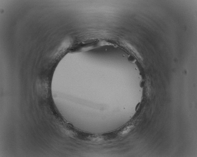 X0000067890113200604271836