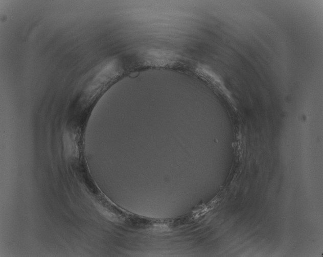 X0000067890114200604271836