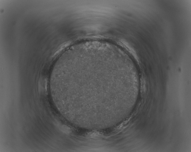 X0000067890115200604271836