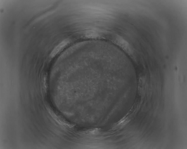 X0000067890116200604271836