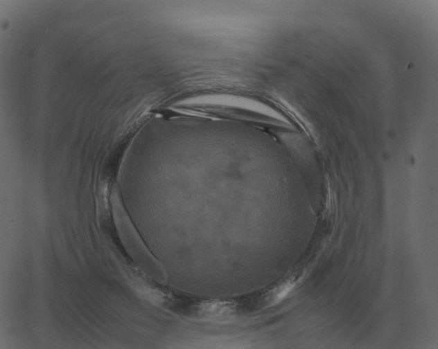 X0000067890117200604271836