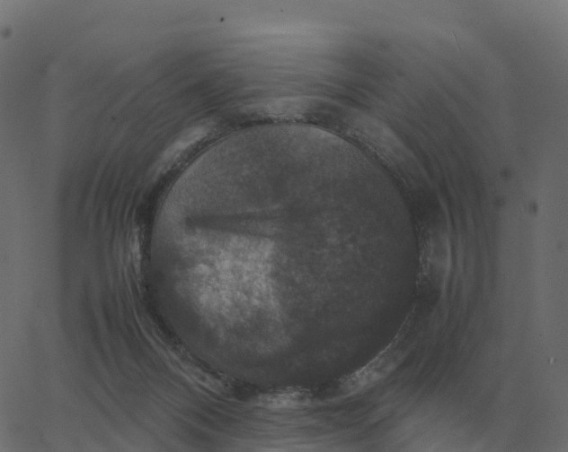 X0000067890120200604271836