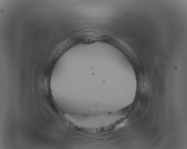 X0000067890121200604271836