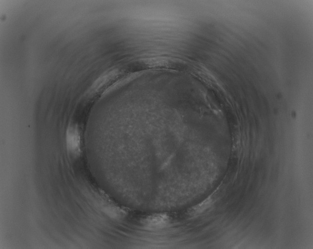 X0000067890124200604271836