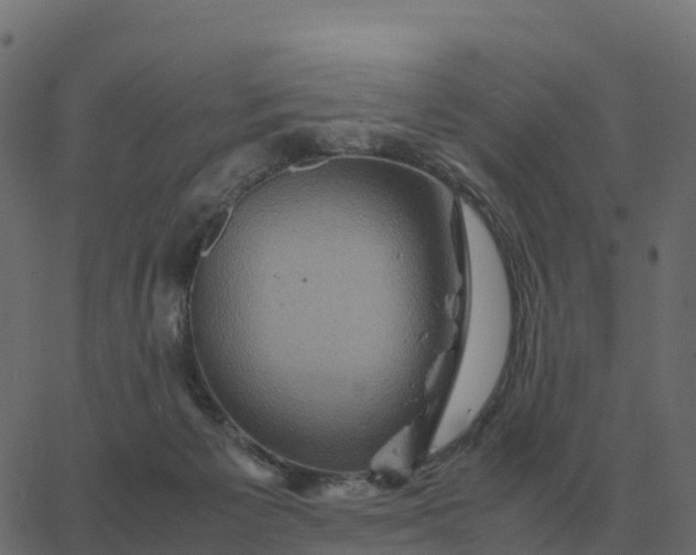 X0000067890125200604271836