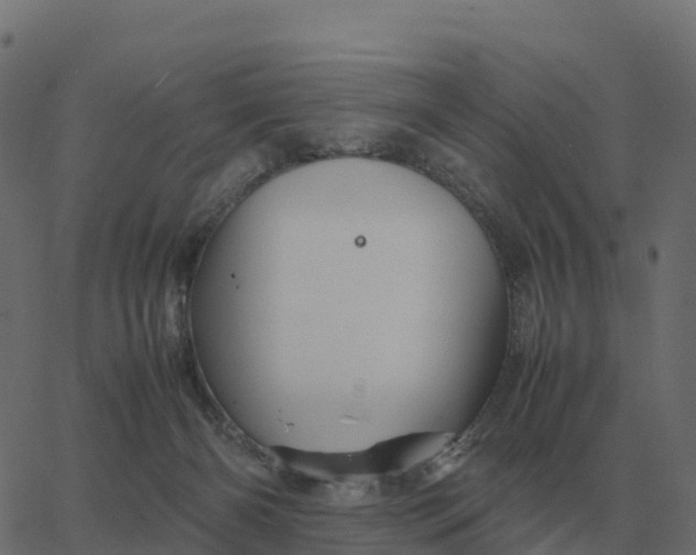 X0000067890126200604271836