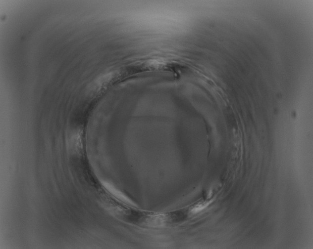 X0000067890127200604271836